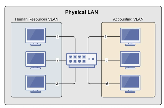 VLAN diagram showing one physical switch split into multiple virtual LANs