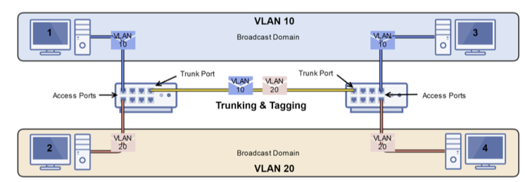 VLANs with multiple switches showing trunk ports, access ports and 802.1Q tagging
